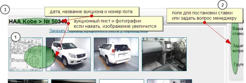 Карточка лота