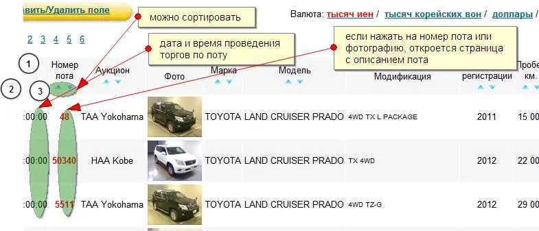 Результаты поиска